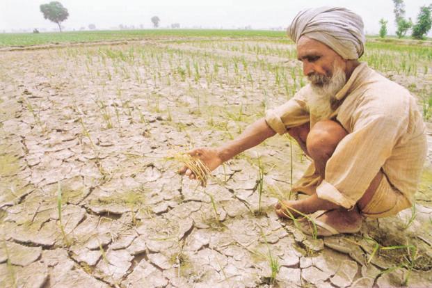 essay on agriculture of chhattisgarh