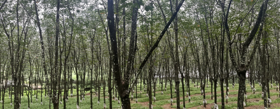 Indian Rubber Industry- Budget 2026