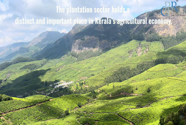 Kerala’s Plantation Sector