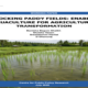 Unlocking Paddy Fields